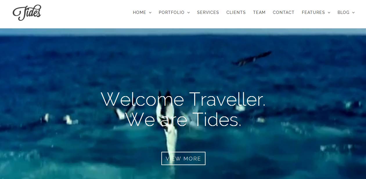 Tides - Single Page WordPress Themes