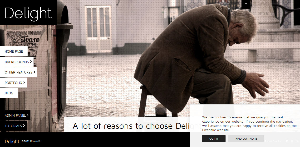 Delight - jQuery based WordPress themes