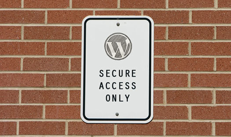 Securing Your WordPress Website