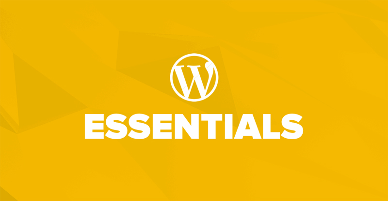 The Essential Guide to WordPress Theme Customization