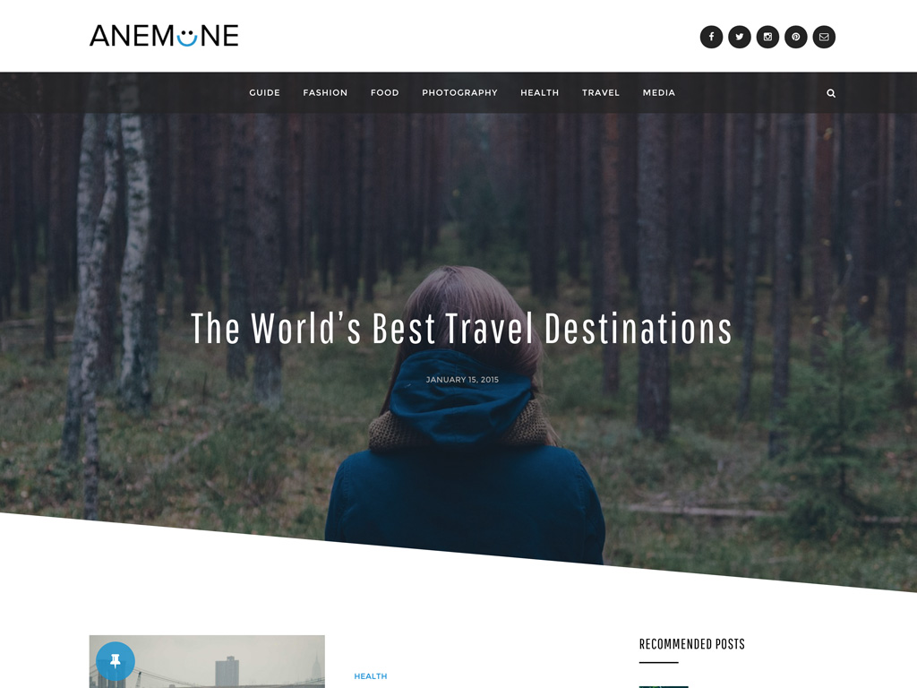 Premium Wordpress Themes Designorbital