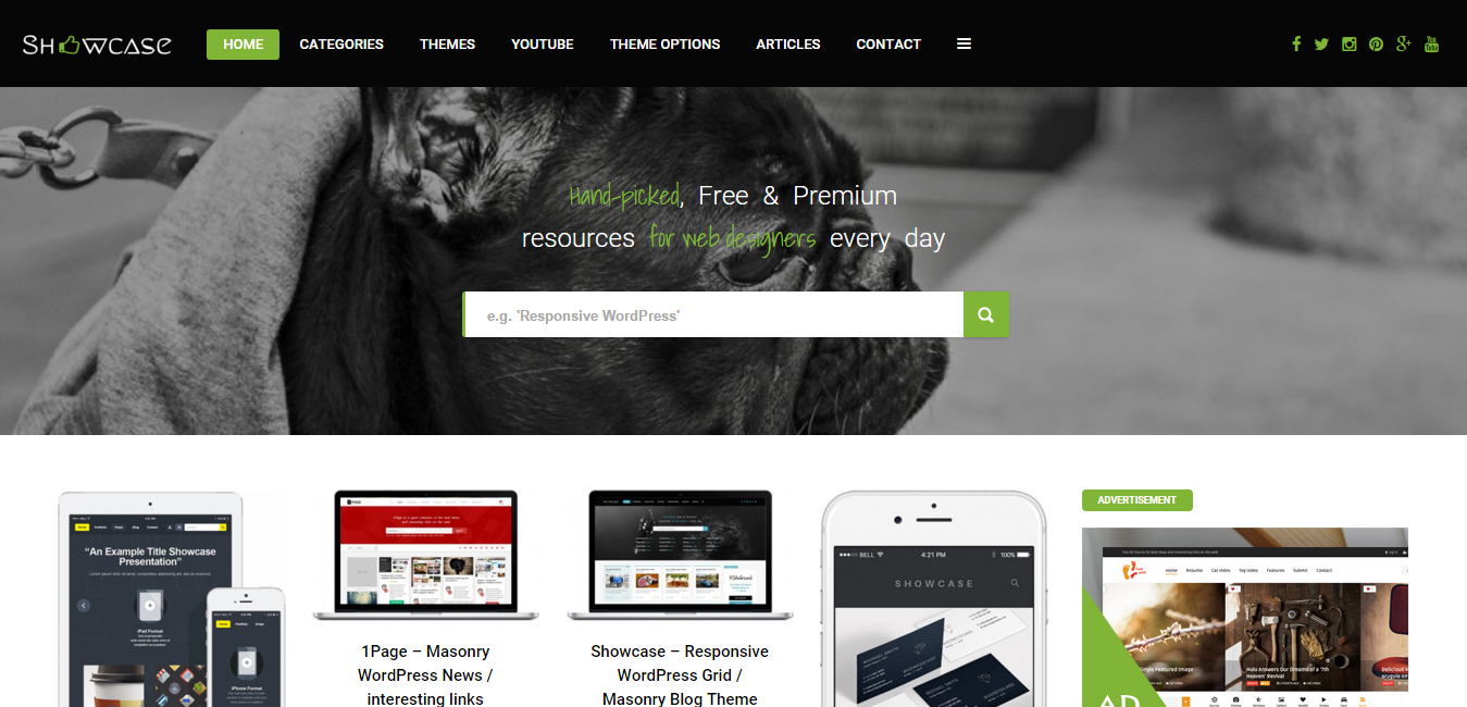 Showcase - Responsive WordPress Masonry Blog Theme