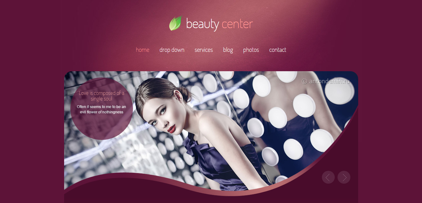 Beauty Center - beauty salon WordPress themes