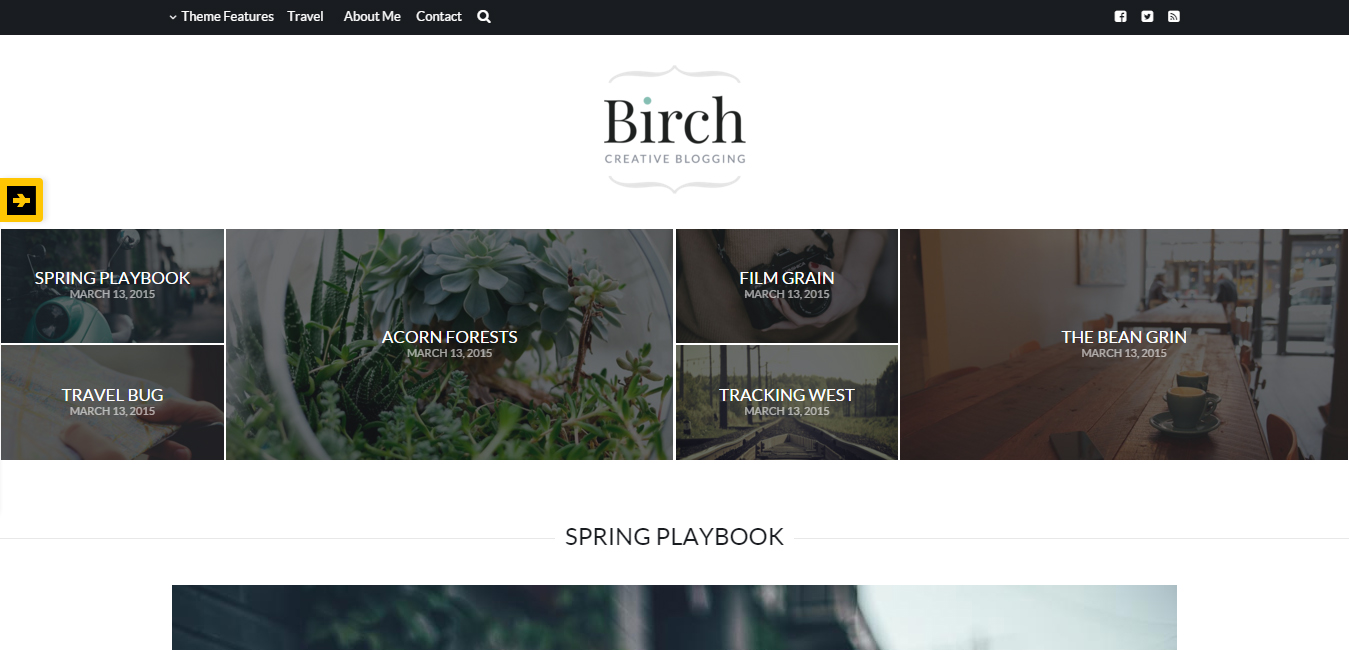 Birch - Responsive WordPress Personal Blog Theme