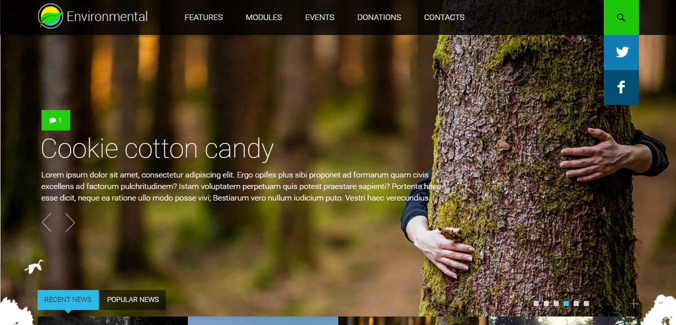 Environmental - Responsive WordPress Theme