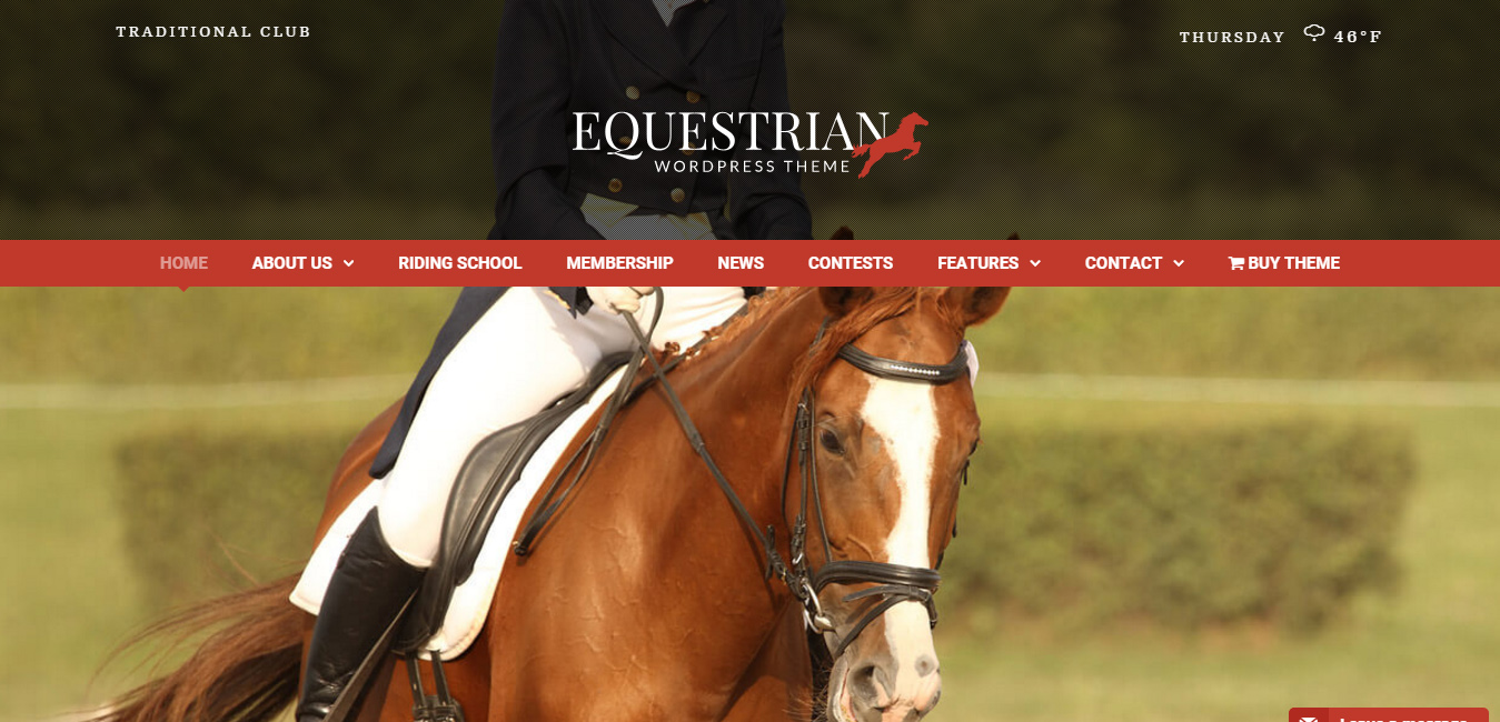 Equestrian - Horses & Stables WordPress Theme