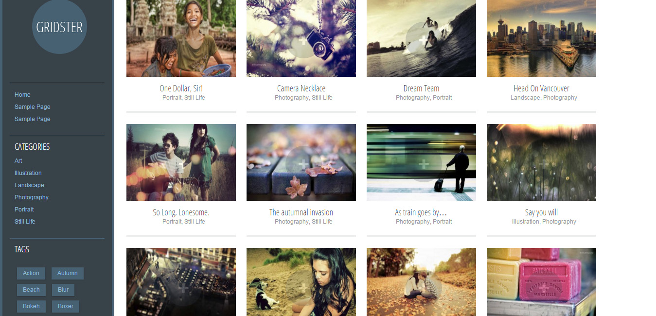 Gridster Lite - free portfolio wordpress themes