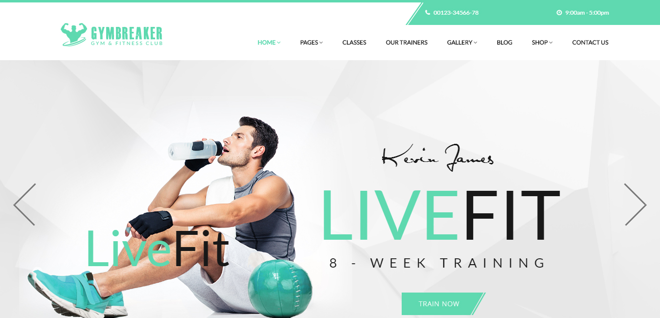 Gym Breaker Fitness & Gym WordPress Theme