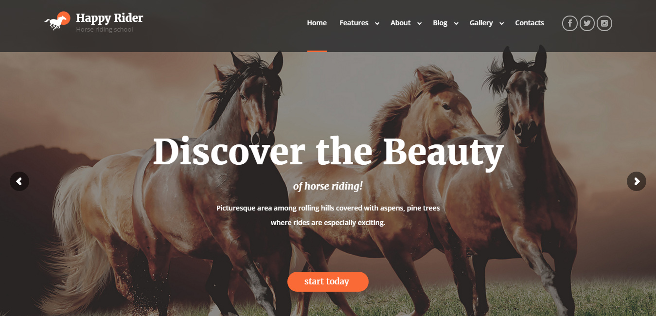 Happy Rider - Horse-Riding School WordPress Theme