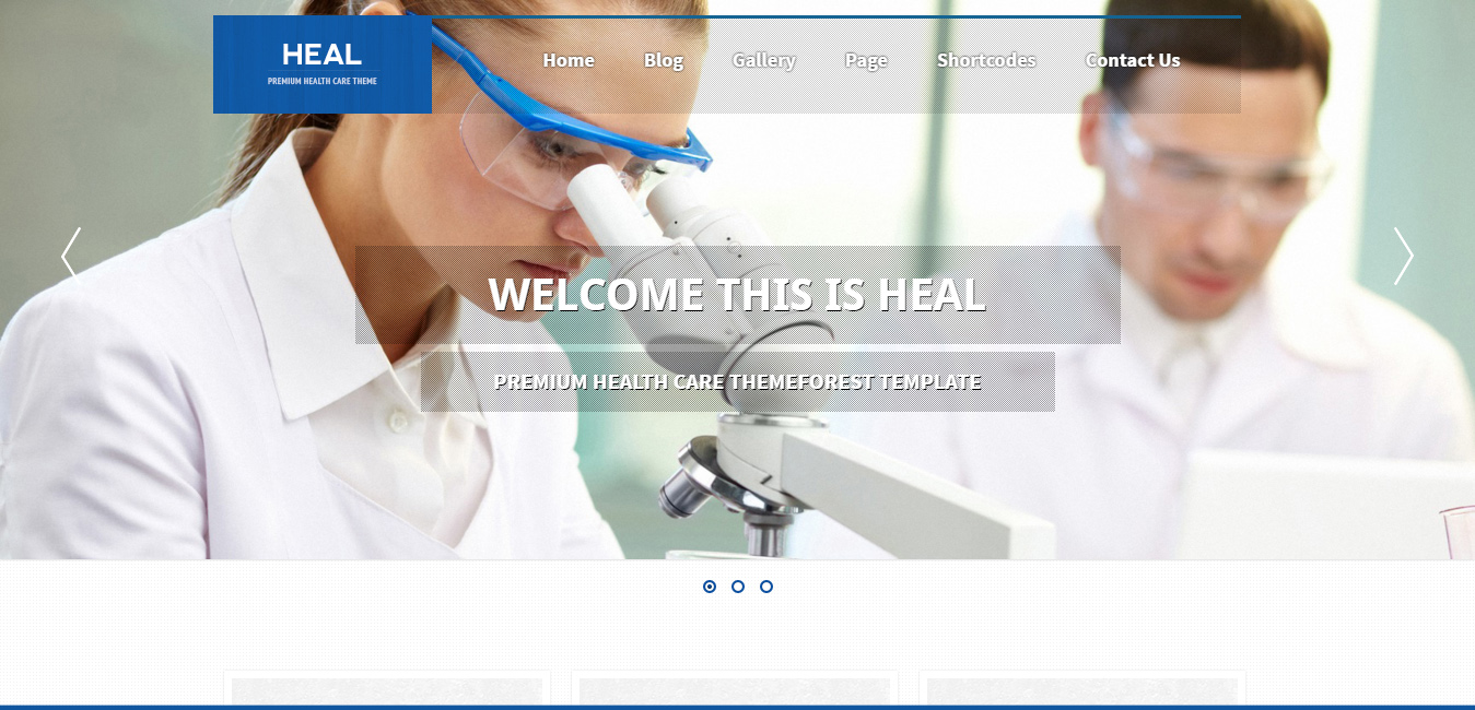 Heal - Responsive Medical WordPress Theme