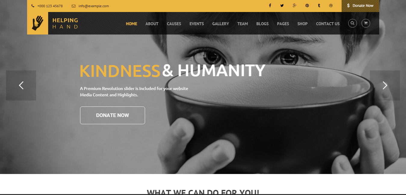 HelpingHand - Charity WordPress Themes