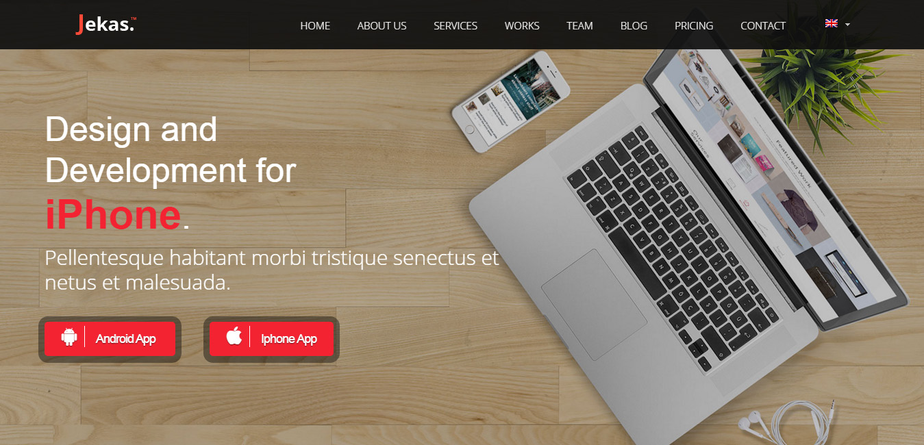 Jekas - Software & Business WordPress Theme