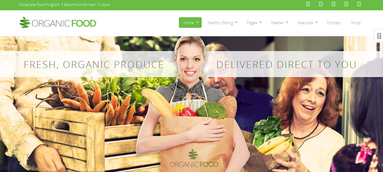 Organic Food - Agriculture WordPress Themes