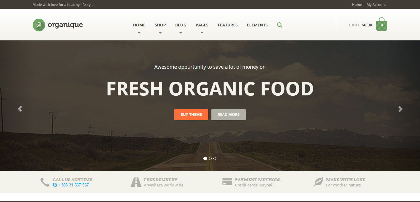 Organique - Healthy Food Shop WordPress Theme