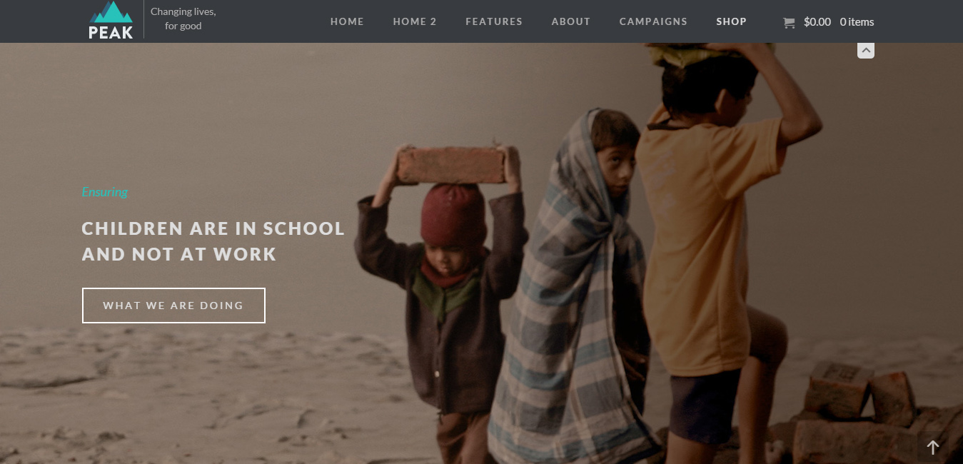 Peak - Charity Nonprofit WordPress Theme