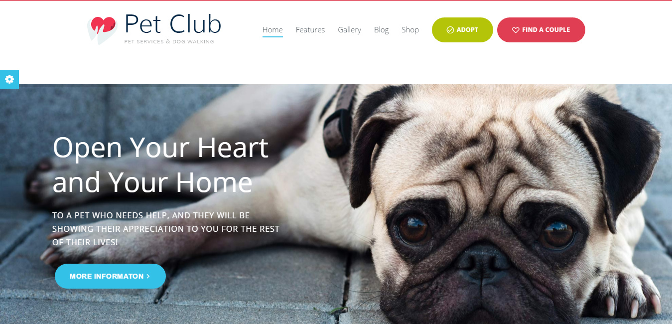 Pet Club - Services, Adoption, Dating & Community Theme