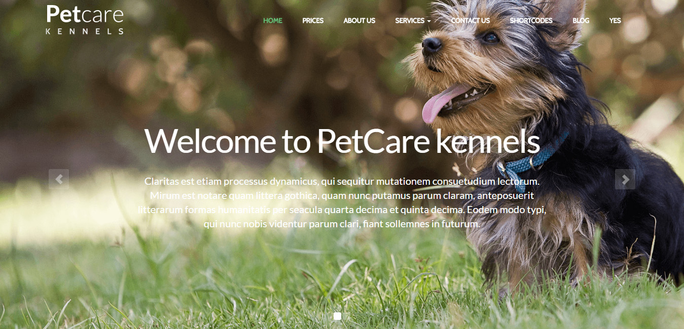 PetCare Dog Kennels WordPress Theme