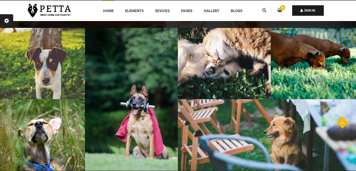 Petta - Pet Care WordPress Theme