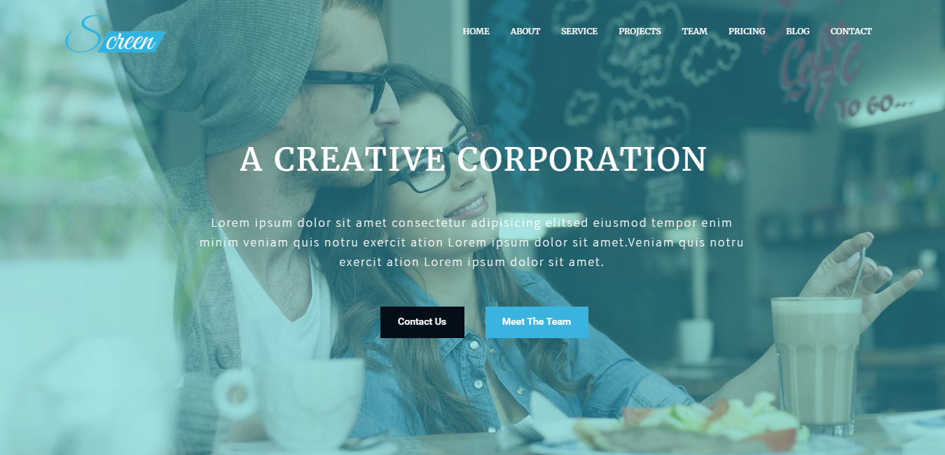 Screen - One Page Business WordPress Theme