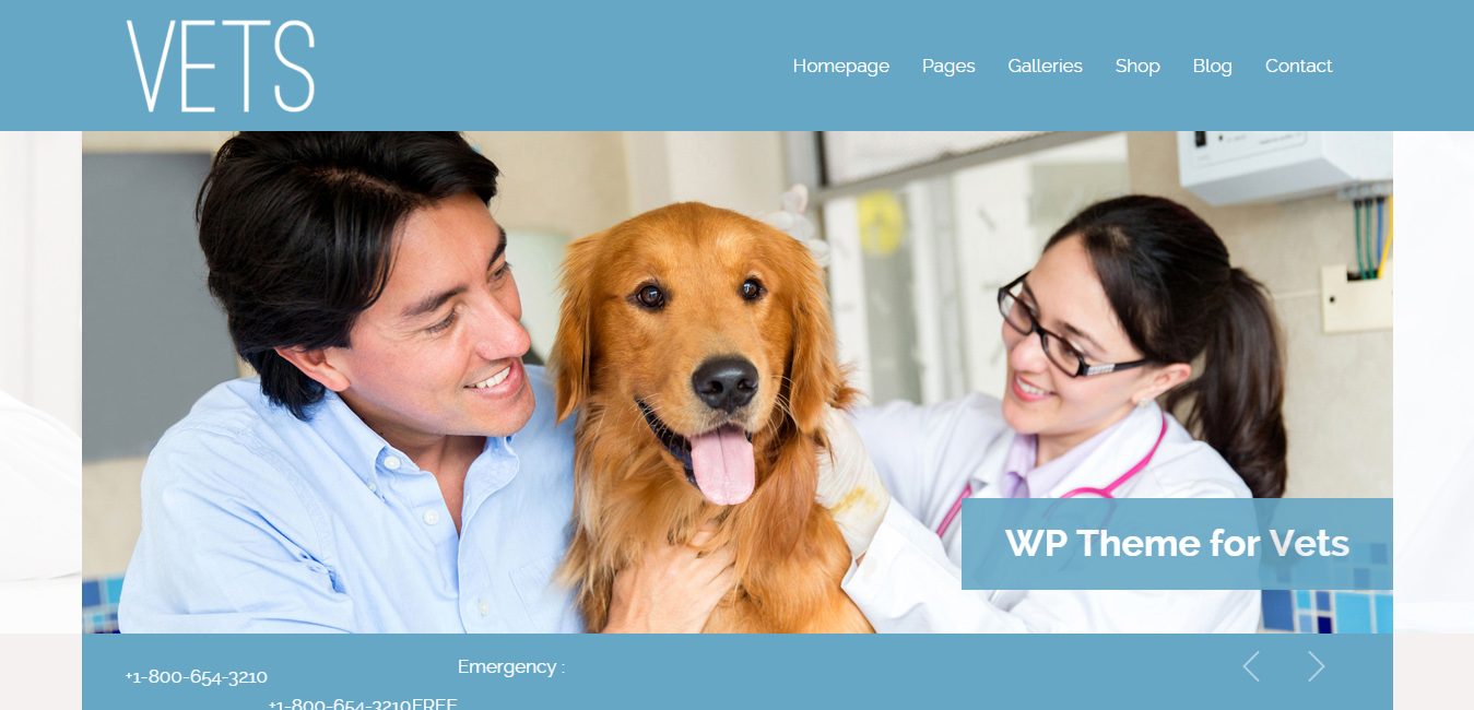 Vets - Veterinary Medical Health Clinic WP Theme