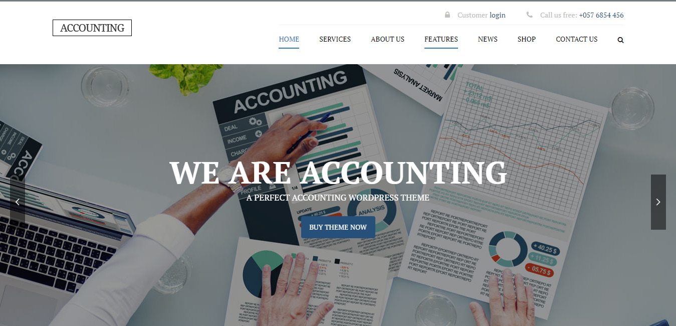 Accounting - WP Business Theme for Accountants