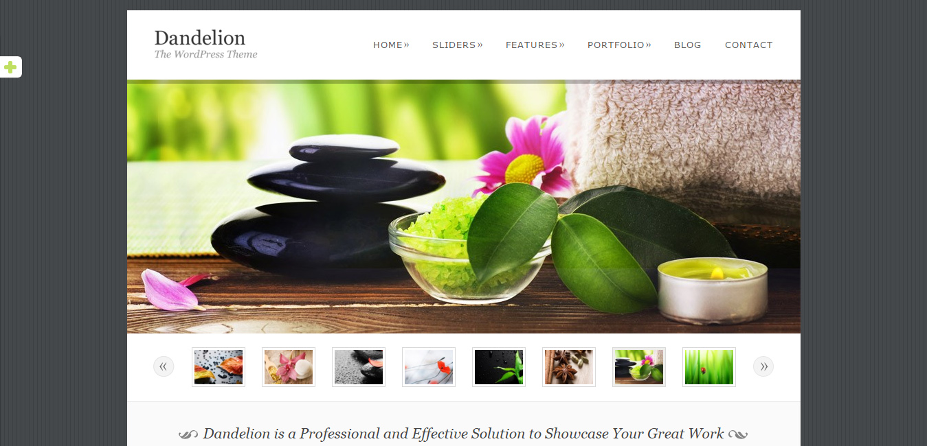 Dandelion - Elegant WordPress Theme