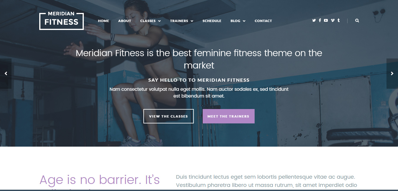 Meridian Fitness - Fitness, Gym WordPress Theme