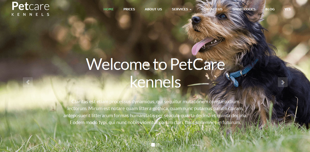 PetCare Dog - Dog WordPress Themes