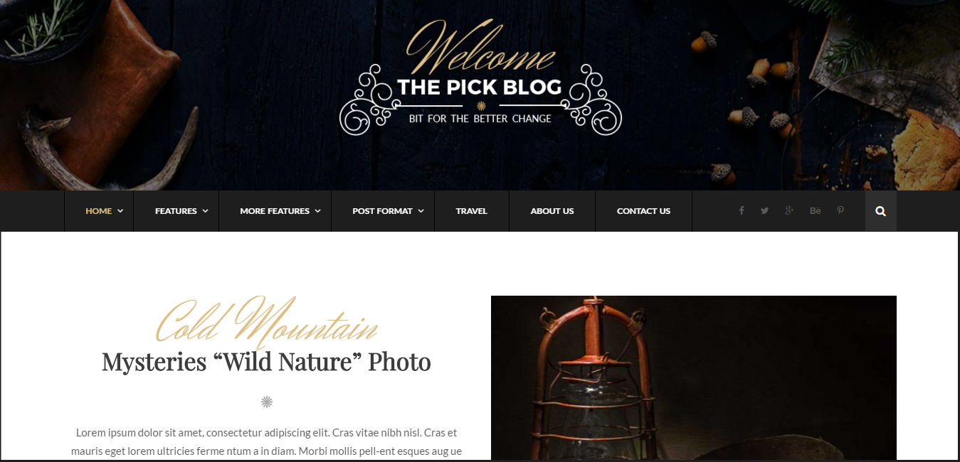 Pick - Responsive WordPress Blog Theme