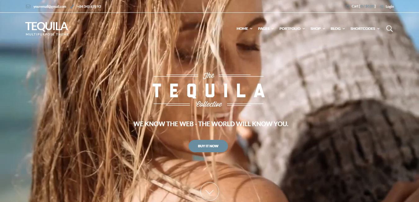 Tequila - watch shop WordPress themes