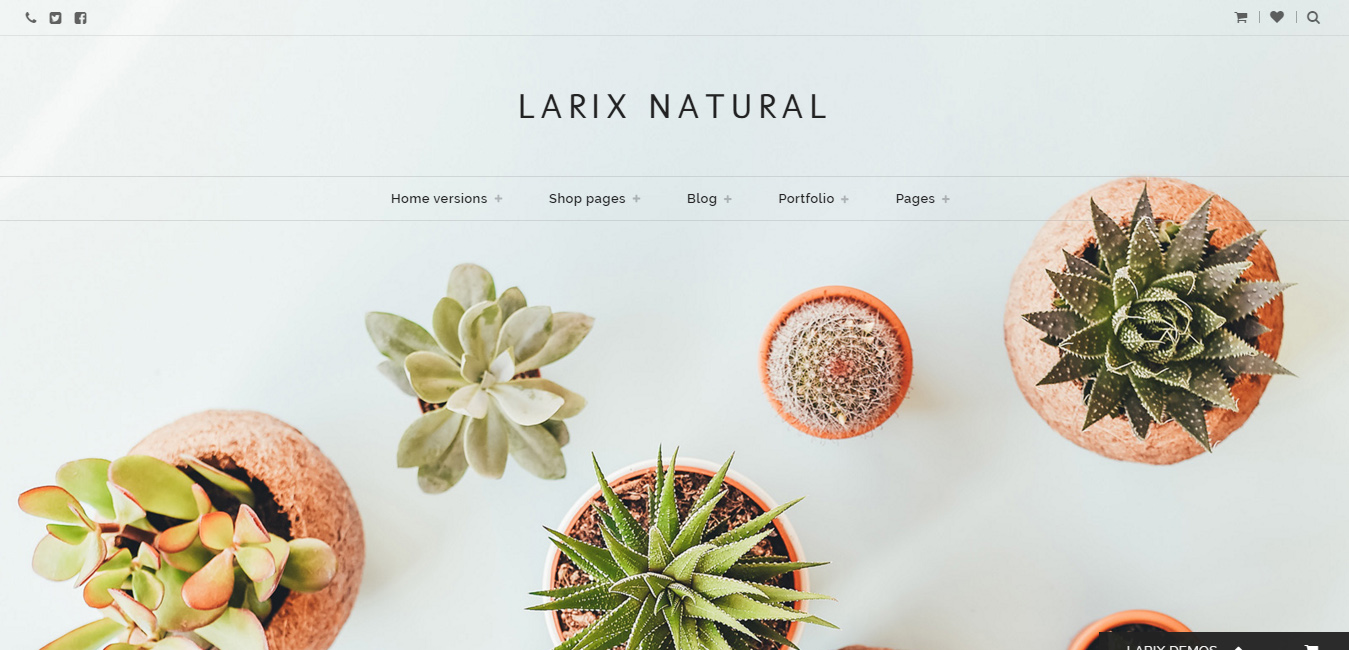 Larix - Creative Multipurpose WP Theme