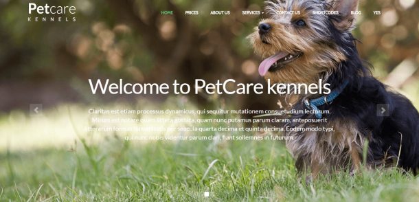 Top 25+ Best Pet WordPress Themes - DesignOrbital